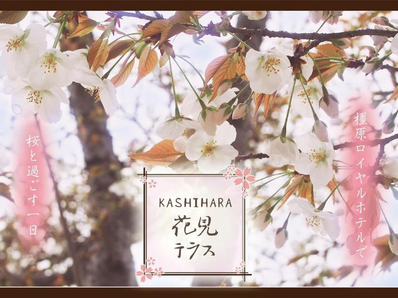 The Kashihara 橿原酒店 外观 照片